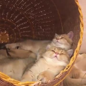 WOOW ITS SO BEAUTIFUL