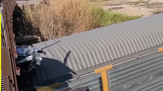 BAD DAY- Watch this