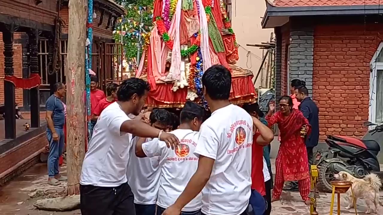 Dharampur Naulin Bhadrakali Jatra I