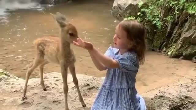 watch this cute kid feeding a bay deer 🦌🦌 so adorable💖💖