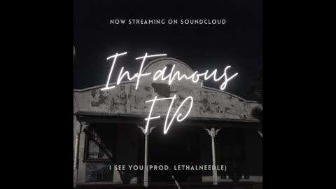 DON INFAMOUS I SEE YOU(PRODUCED BY LETHALNEEDLE)