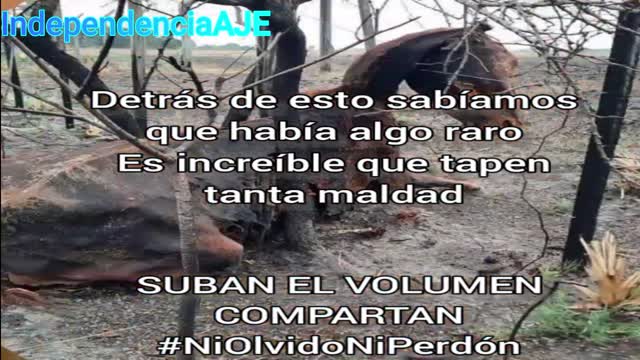 No son incendios, son Quemas de nuestra tierra, vegetación y Fauna