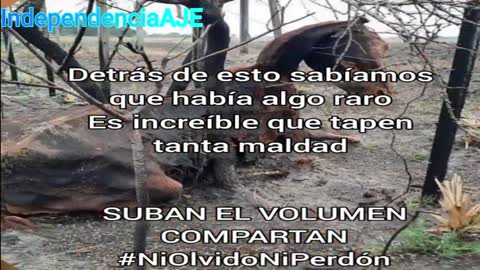 No son incendios, son Quemas de nuestra tierra, vegetación y Fauna