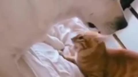 Come here, baby. I wont bite u..!!??