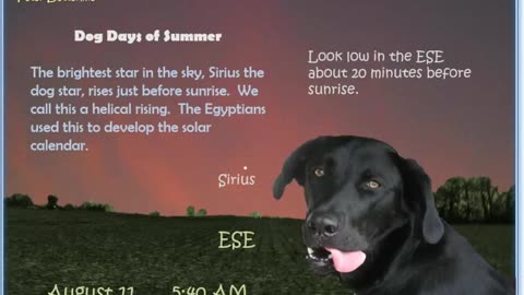 August 2024 Night Skies