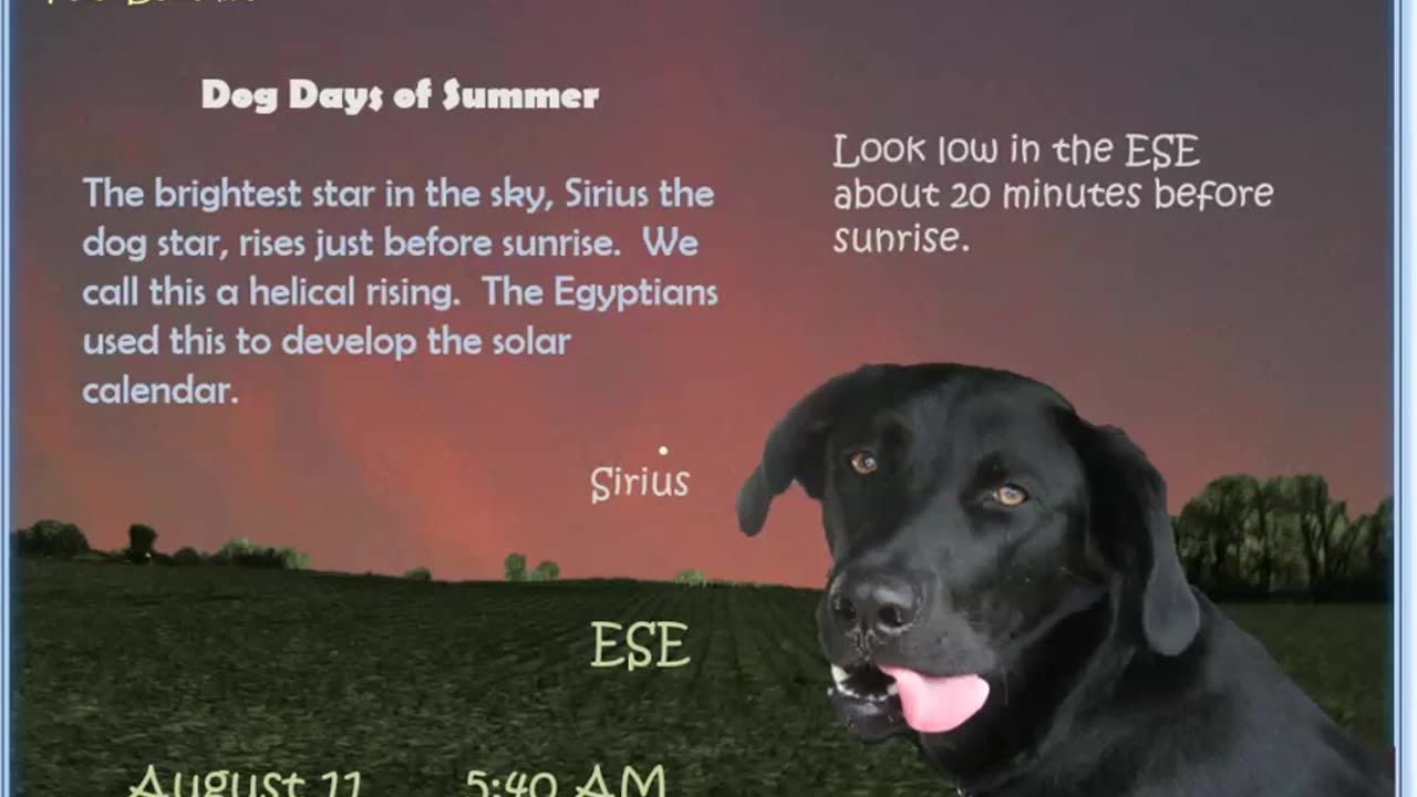 August 2024 Night Skies