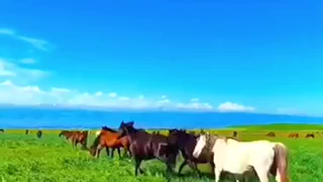 Gorgeous and lovely