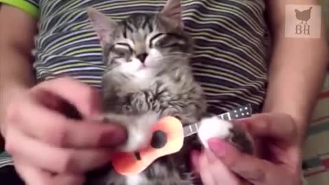 Funny metal cat sings...