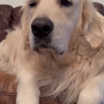 Bubba and food 😍😘😙