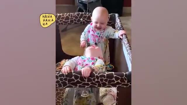 Funny Twin Babies Compilation || Just Laugh