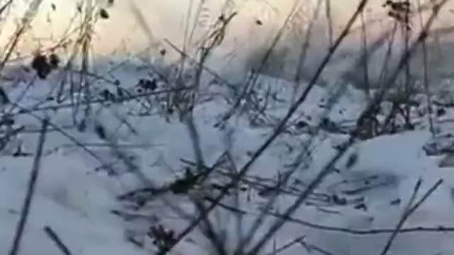 14.03.2022. Demilitarization and denazification of Ukraine!!!