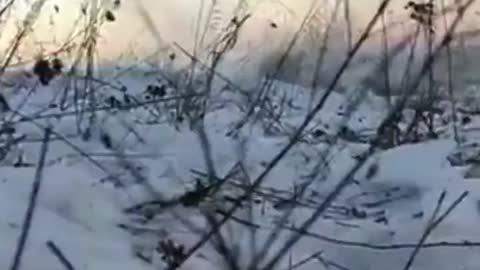 14.03.2022. Demilitarization and denazification of Ukraine!!!