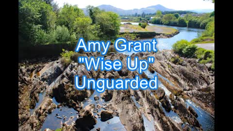 Amy Grant - Wise Up #433