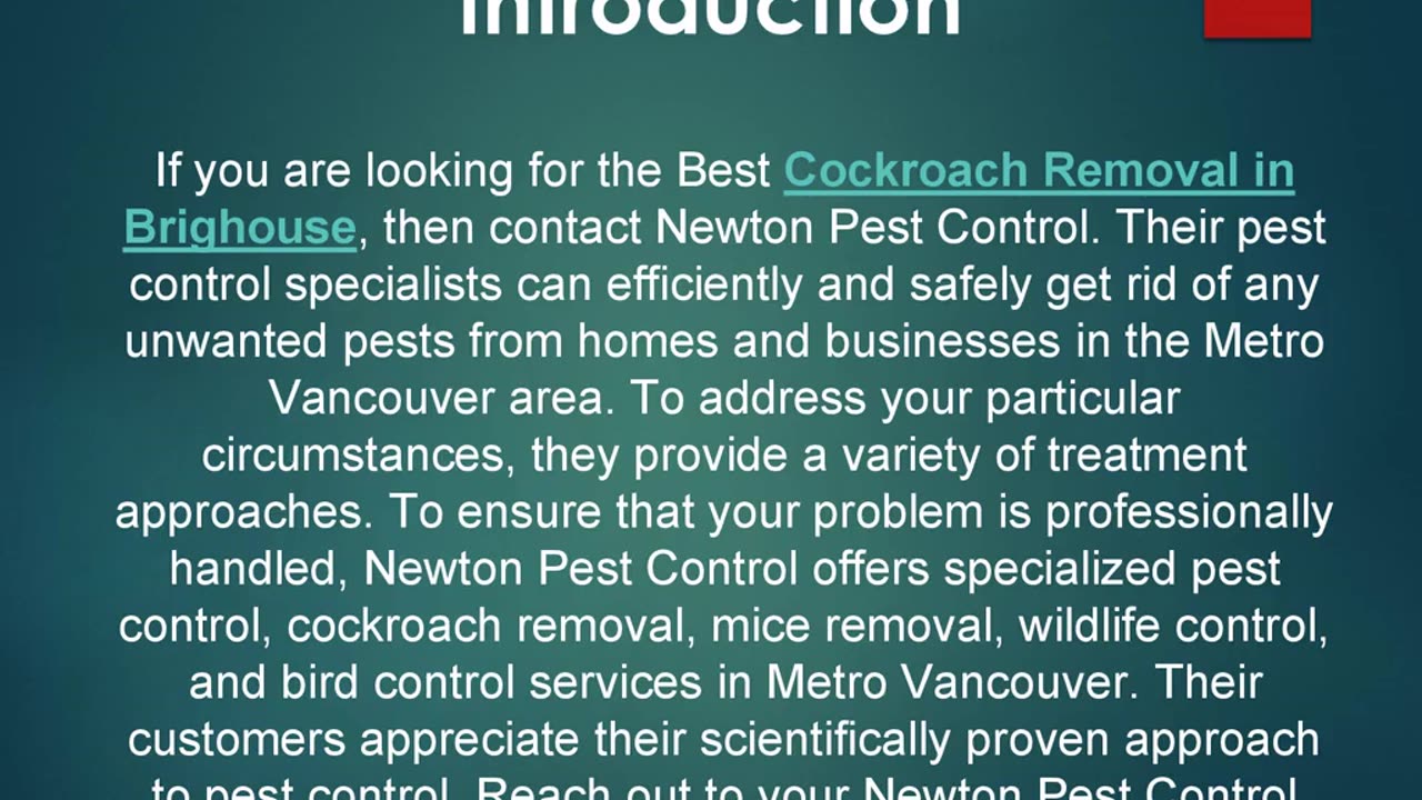 Best Cockroach Removal in Brighouse