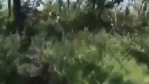 The last minutes of life of Ukrainian soldiers trying to storm something.