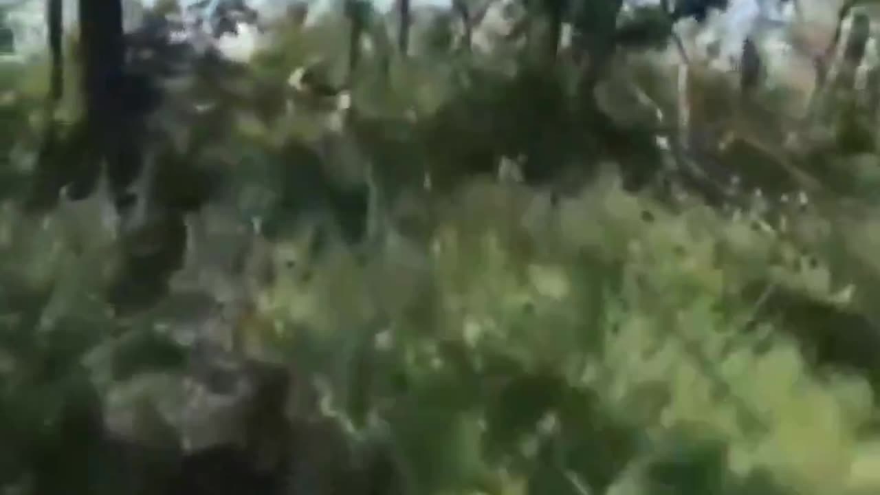 The last minutes of life of Ukrainian soldiers trying to storm something.