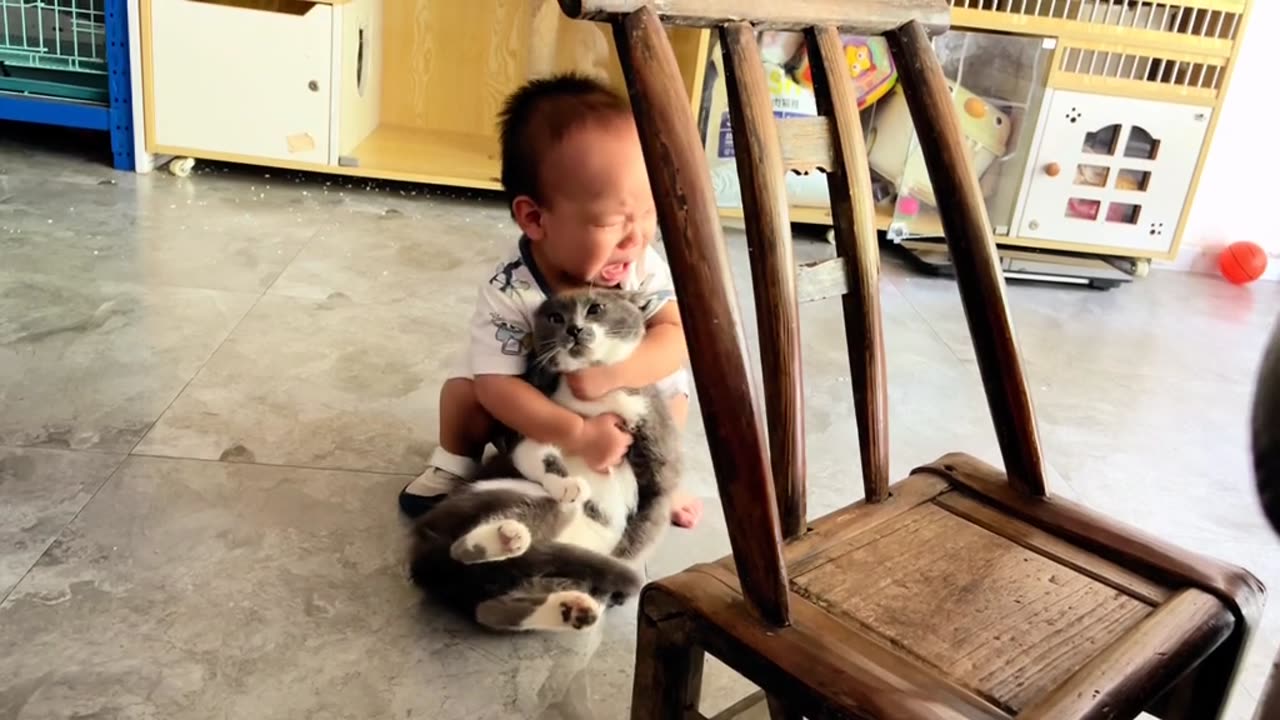 Baby and Cat: The Best Friends You Didn’t Know You Needed