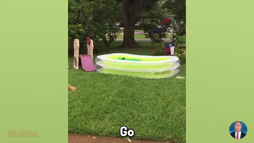 Funny babies playing at swimming pool