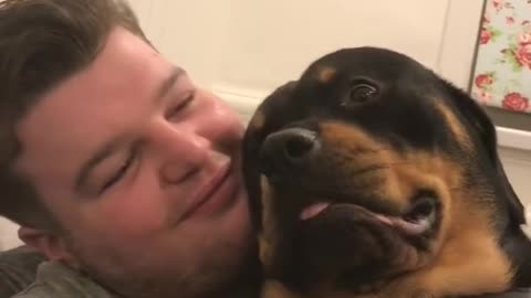 Rottweiler grumble