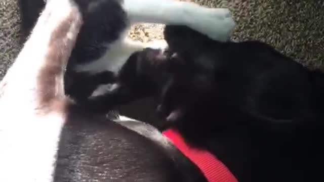 Best friends