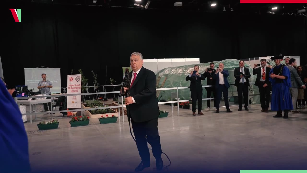 A felcsĂști trottyos Anulu