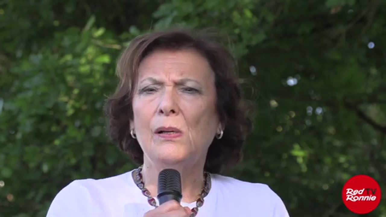 Stefano Montanari e Antonietta Gatti: difendere i bambini, Santa Ildegarda. Bergoglio scomunicato?