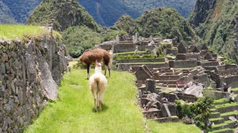 Getting to know Machu Picchu