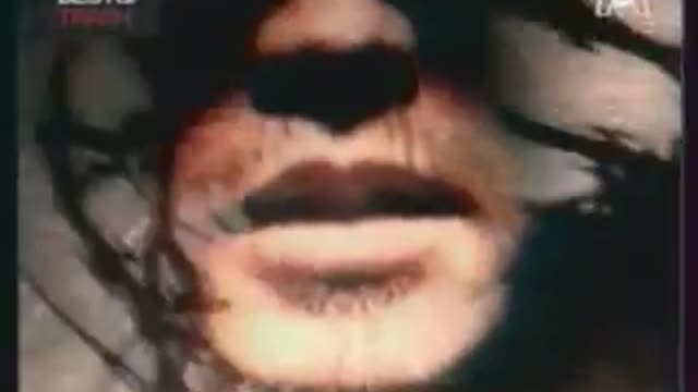 Senser - Age Of Panic