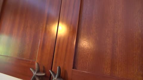 How to Fix Cabinet Warped Door for Dummies