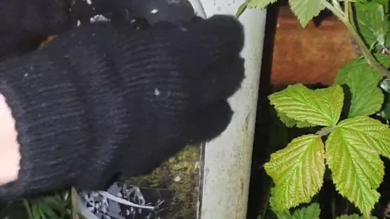 Dealing with dangerous Ledston lighting