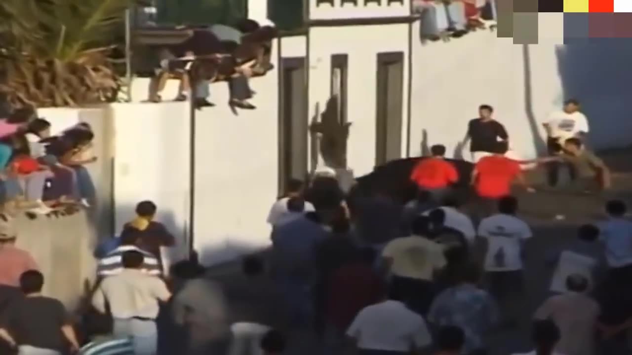 The greatest bullfighting festival ever | Funniest videos 2023 absurdly humorous bull fails