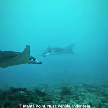 Indonesia's beautiful underwater tourist destination