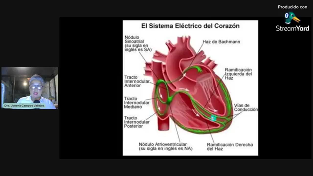 Muerte Súbita Cardíaca y Vacunas COVID-19