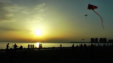 Kites on the beach at sunset