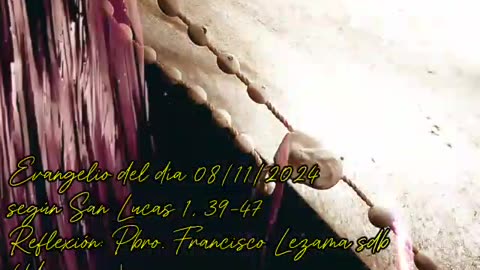 Evangelio del día 08/11/2024 según San Lucas 1, 39-47 - Pbro. Francisco Lezama sdb