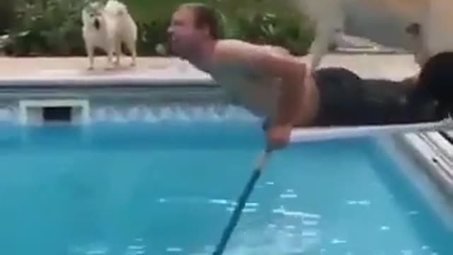 This is why happens when your dog's are crazy