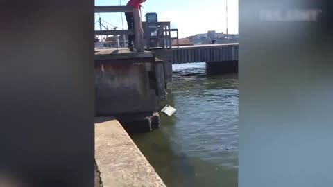 notebook falls in the water