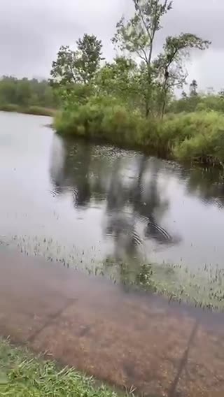 People in florida already know this is going to be bad...