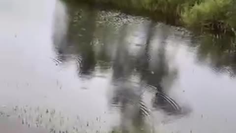 People in florida already know this is going to be bad...