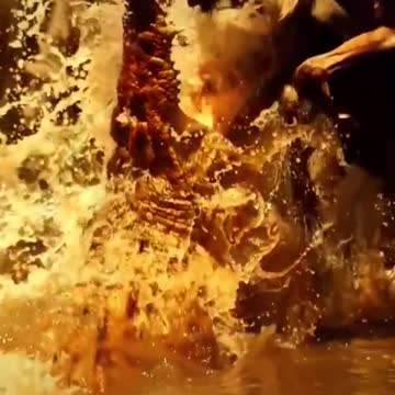 WILD ANIMALS HUNTING PREY COMPILATION #57 RELAX FOR LIFE