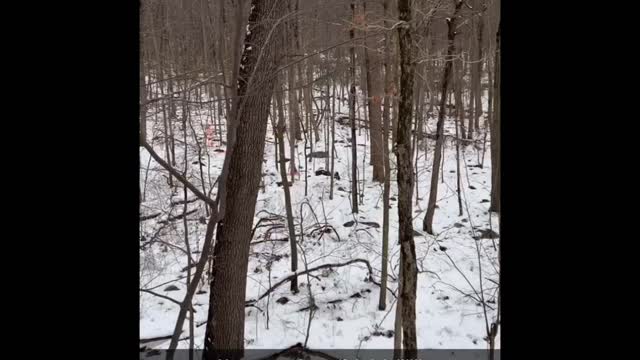 Massive blood trail from a beautiful NJ buck!!