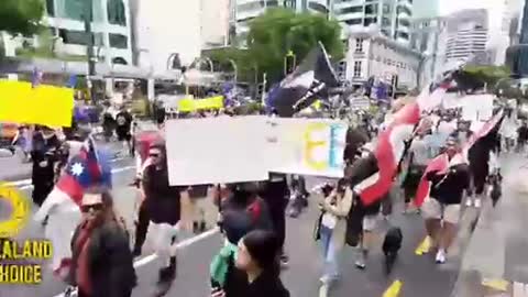 The Revolution NOW:New Zealand out in force against Coronavirus passports