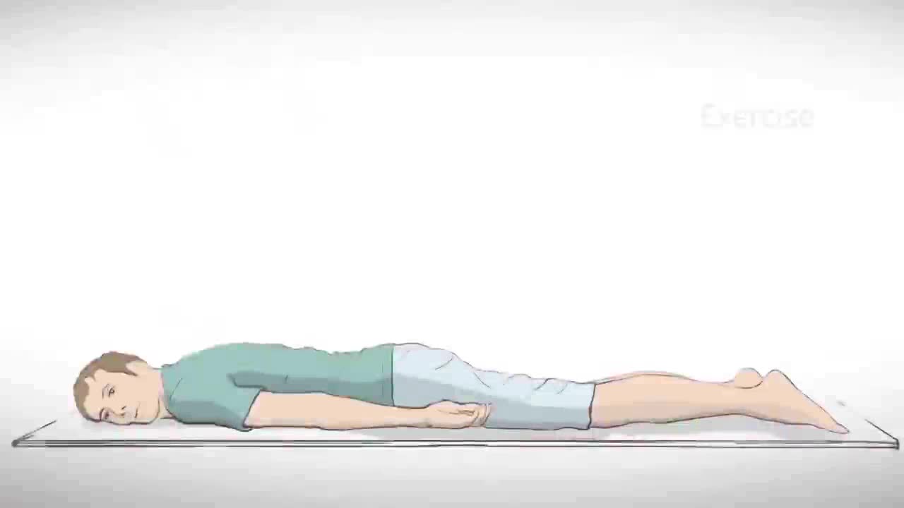 Chronic Low Back Pain : Understanding lower back structures and treatment approaches