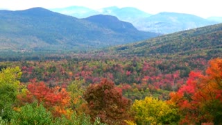 Panoramic View