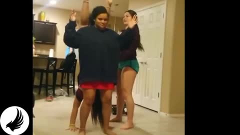 Best Funny Videos People Doing Stupid Thing