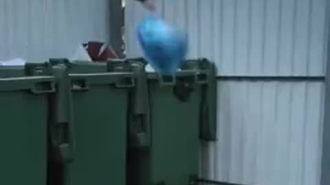 funny video funny memes comedy video funny fails 2024