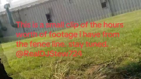 small clip of the hours worth of footage from the fence line.