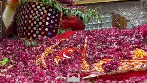 Murshid shahbaz Qalandar