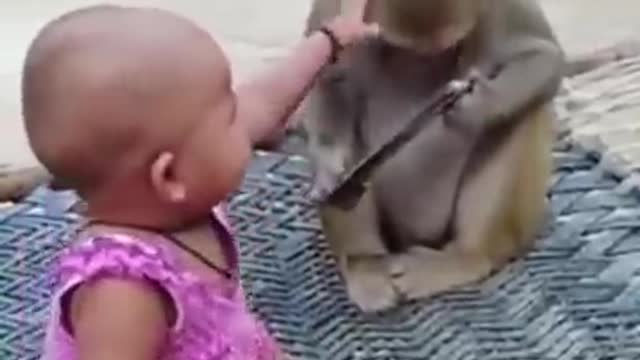 Baby playing with monkey