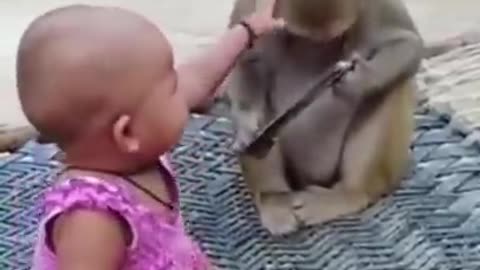 Baby playing with monkey